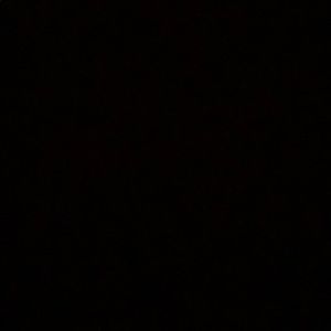 Meet your Posher, Bryant